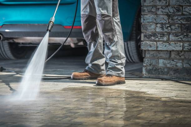 Best Soft Washing  in Shelbina, MO