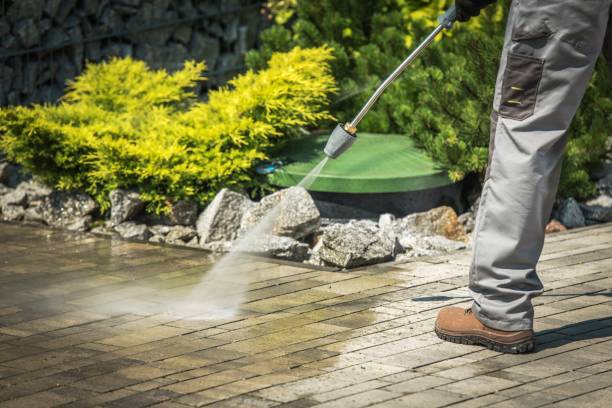 Best Pre-Holiday Cleaning  in Shelbina, MO