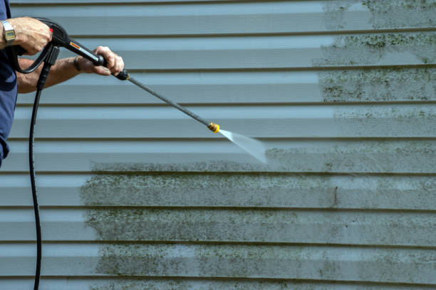 Best Pool Deck Cleaning  in Shelbina, MO